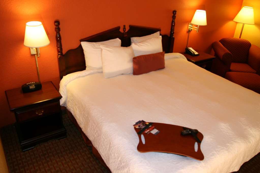 Hampton Inn Cartersville Rum bild
